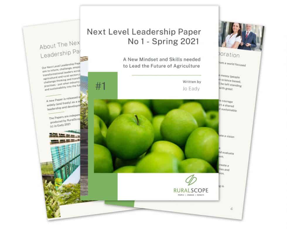 Leadership Paper Download Ruralscope