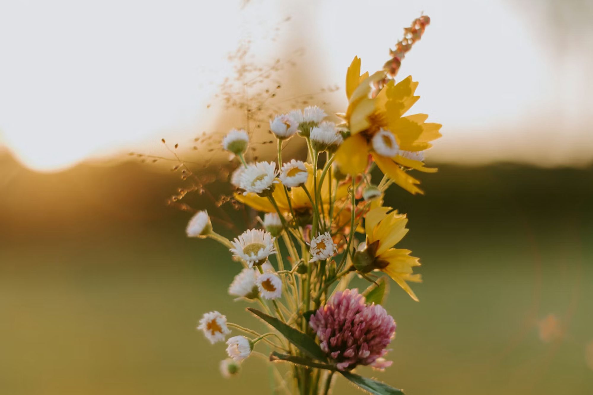 Celebrate Loud and Proud