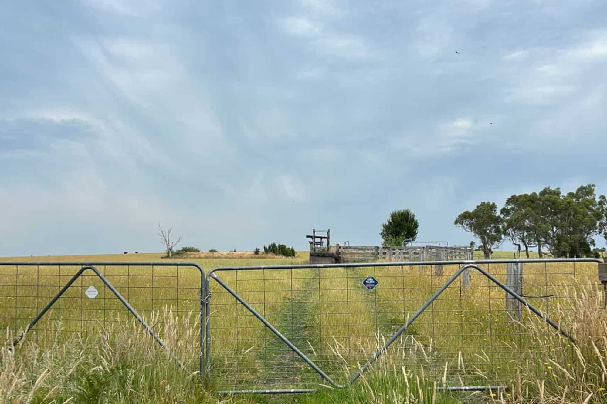 Can I Choose Change?