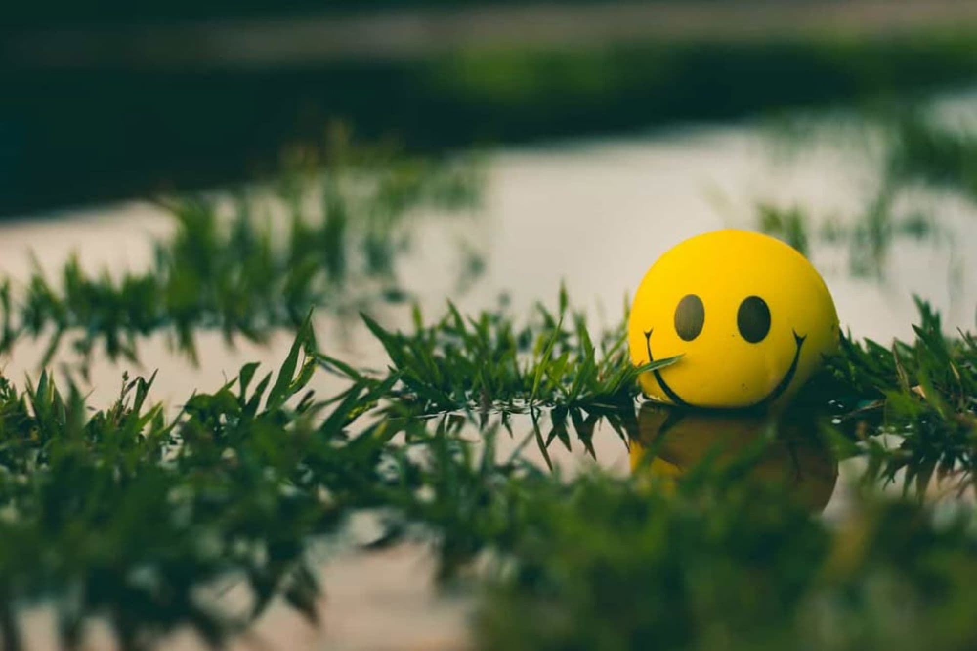 Dial Up Your Optimism Today