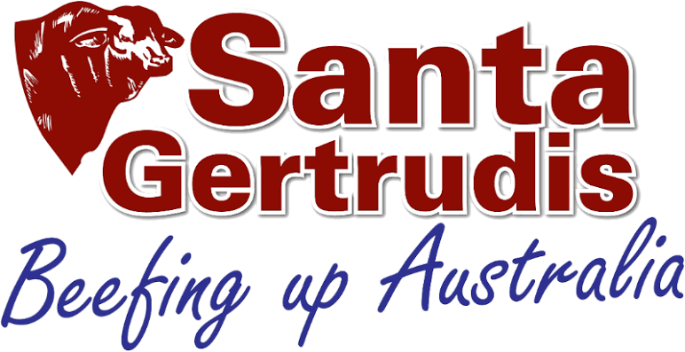 Santa-Gertrudis-logo